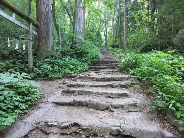 戸隠神社　奥社参道